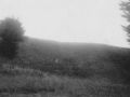 89 de tjotten heuvels natuur berg hut