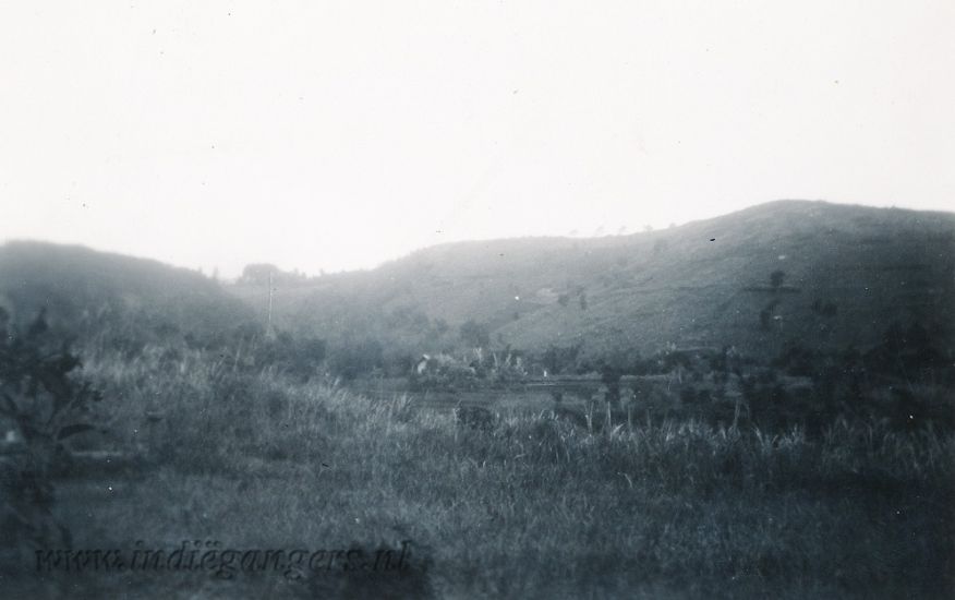 247 natuur bergen