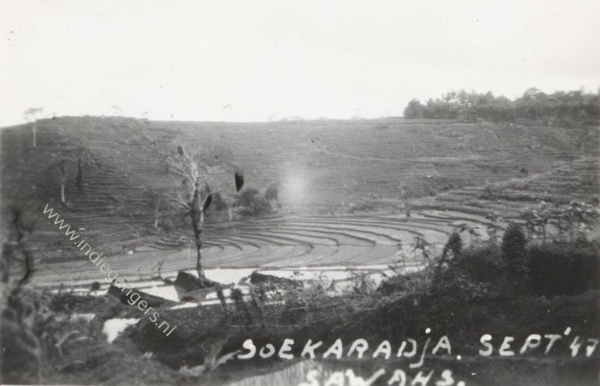 40 Sawahs te Soekaradja sept 47