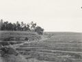 81 opmarsch 20 dec 1947 naar Wonokambang Dit is kampong Pedjaten