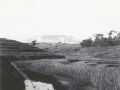 82 20 dec 1947 Wonokambang ligt voor ons