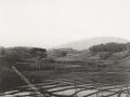 83 20 dec 1947 Wonokambang ligt voor ons