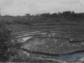 38 Bodja 1947