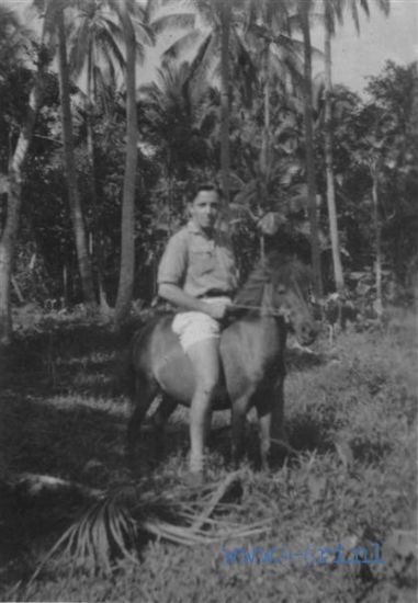 41 Bodja 1947