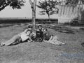 160 Semberhardjo september 1948