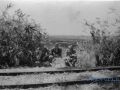 165 Soemberhardjo 1948