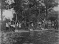 83 Zwemwedstrijd Tjipering 2 jarig bestaan 4 6 RI 1947