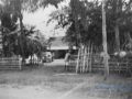 201 Sikowang 1949